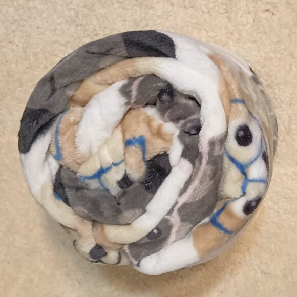 NWT~ Frankie & June Ultra-Soft Double-Sided Plush Throw Blanket (50" X 60") - Picture 6 of 9